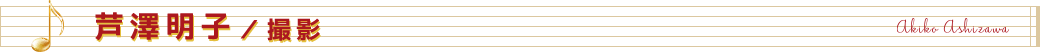 芦澤明子/撮影